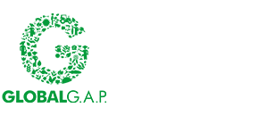 logo4